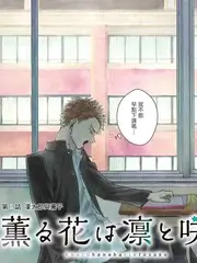 音乐盛典 免费观看